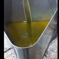 روغن زیتون طارم