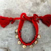 قلاده سگ سنتی