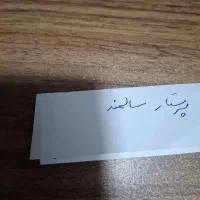 پرستار سالمند