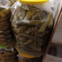 خیارشور خانگی ویژه درجه یک