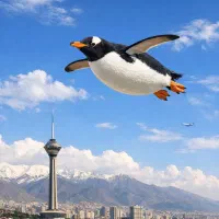 حرکت از قاین به بیرجند ساعت 9 صبح یکشنبه