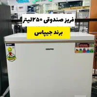فریزر صندوقی ۲۵۰لیتر جی پاس
