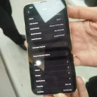 آیفون 13پرومکس|موبایل|بروجن, |دیوار