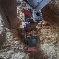 گاو اهن کلیواتور