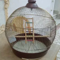 قفس پرنده|لوازم جانبی حیوانات|رشت, دروازه لاکان|دیوار