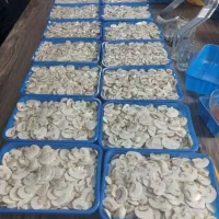 قارچ اسلایس فله(همه روزه)