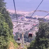 استخدام نیرو جهت عکاسی