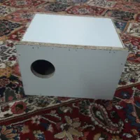 لانه عروس هلندی(معاوضه با قفس سهره هم دارم)