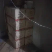 شامپو تخم مرغی داروگر|مواد شوینده و دستمال کاغذی|کرمان, |دیوار