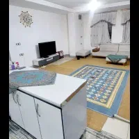 فروش پالاز موکت|موکت|یاسوج, |دیوار