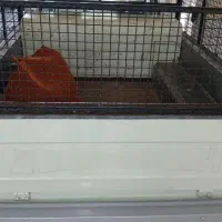 وانت دوگانه کارخانه دست نخورده|خودرو سواری و وانت|زنجان, |دیوار