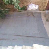 موکت|موکت|ارومیه, |دیوار
