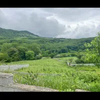 384 متر زمین دونبش مسکونی در امیرکلا