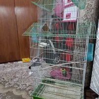 قفس سه طبقه پرنده