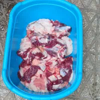 انواع گوسفند چاق کشتاری|حیوانات مزرعه|بروجرد, |دیوار