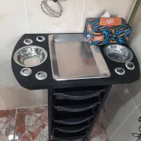 ترولی ارایشگاه