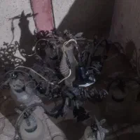 لوسترمحکم ولی قدیمی