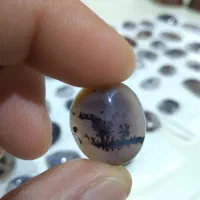 سنگ شجر قاین بی نظیر تک درخت سوزنی|جواهرات|مشهد, ثامن|دیوار