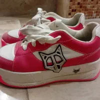 کتونی. کفش|کیف، کفش، کمربند|مشکین‌دشت, |دیوار