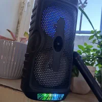 اسپیکر|سیستم صوتی خانگی|تایباد, |دیوار