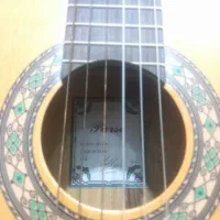 گیتارPARSI.p70 2025|گیتار، بیس، امپلیفایر|زاهدان, |دیوار