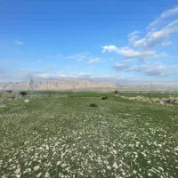 زمین کشاورزی ناصراباد