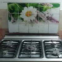 گاز پنج شعله فر دار|اجاق گاز و لوازم برقی پختوپز|فردوس (خراسان), |دیوار