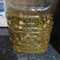 ترشی لگجی تازه