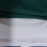 ۱۰۰هزار تومن