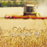 2-هکتار-آب-سازمانی