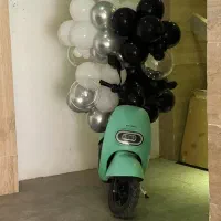 موتور برقی بوش المان