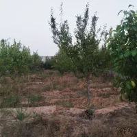 باغ-ویلا-فروشی-برزش-اباد