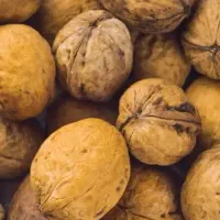 گردو سپیدان