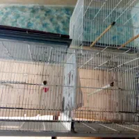 قفس پرون ۱۲۸ سانتی