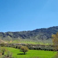 ۸۰۰مترباغ ۲۲۰ اصله درخت میوه گابیون بندی شده