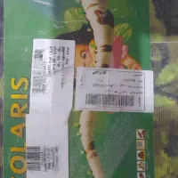 فرش کودک و نوجوان|فرش|قم, پردیسان|دیوار