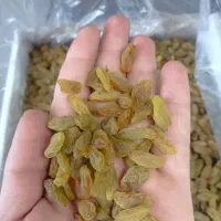 کشمش سبز قلمی|خوردنی و آشامیدنی|اصفهان, روشن‌دشت|دیوار