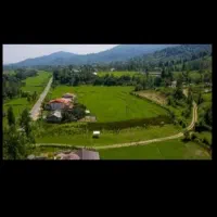 سوییت جنگلی اجاره ای در دل طبیعت