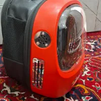 وسایل گربه قفس و کیف