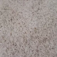 برنج محلی دورود