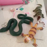 اسباب بازی و غیره|اسباببازی|شیراز, ماه فیروزان|دیوار