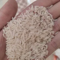 برنج سالم و نیم دانه هاشمی درجه یک