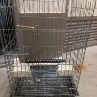 قفس نو بزرگ طوطی