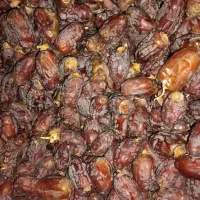 فروش عمده ریزه حلاب .آجیلی|عمدهفروشی|جم, |دیوار