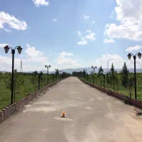 چاه-کشاورزی-و-باغداری-صنعتی-با-پروانه-صنعتی