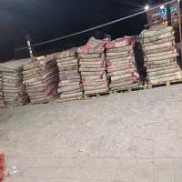 فرش معجزه اصل کاشان|فرش|زاهدان, |دیوار