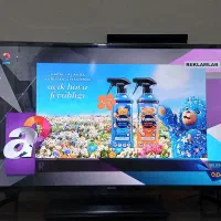 تلویزیون|تلویزیون و پروژکتور|تبریز, |دیوار