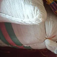 بذر شالی فجر درجه یک