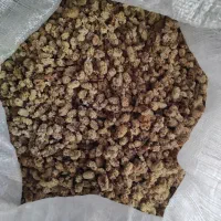 فروش توت سفید