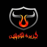 نیروی کار خانم